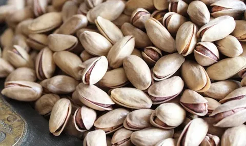 تصویر 2 از خرید پسته اکبری اعلا + قیمت فروش استثنایی
